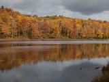 10-B Vermont Foliage